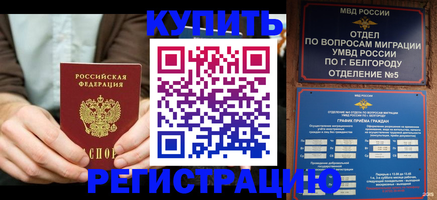 прописка 2025 в Кашире